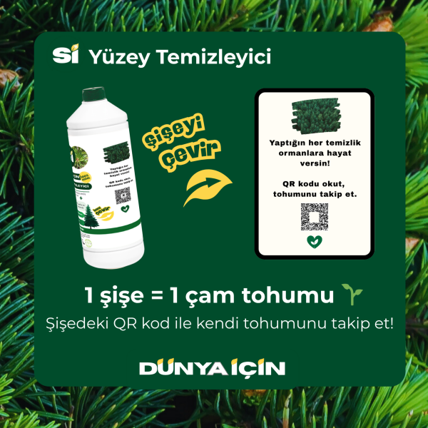 Doğal Yüzey Temizleyici  Çam İğnesi