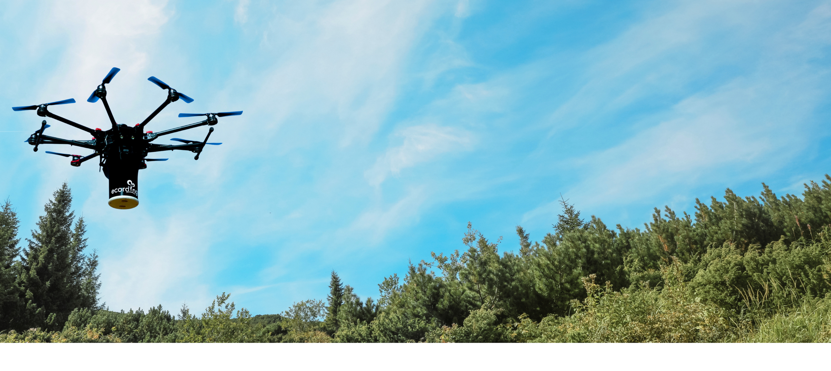 Daha Yeşil Bir Dünya İçin